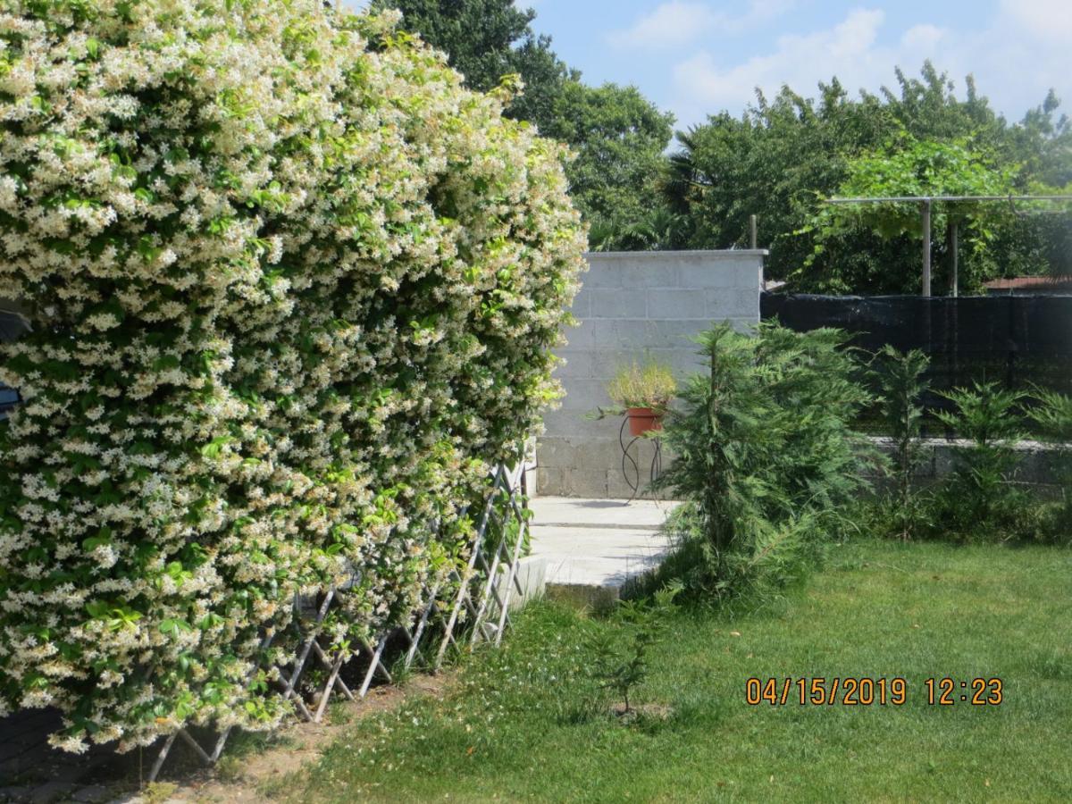 5 Palme Frühstückspension 3*